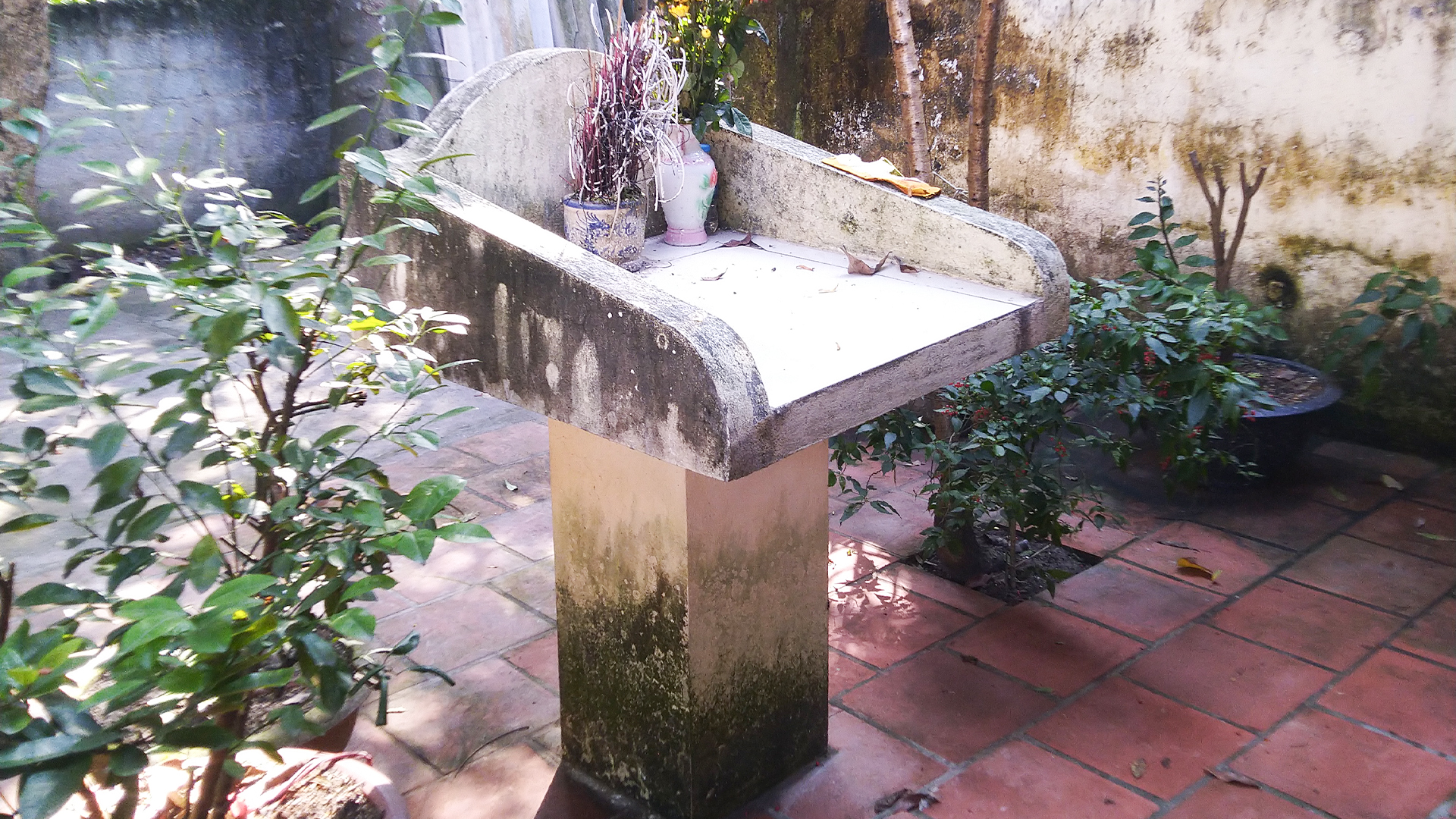 C. 02_Cây Hương Trước Miếu.jpg